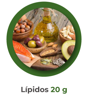 beneficios de los protocolos