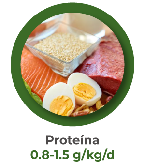 beneficios de los protocolos