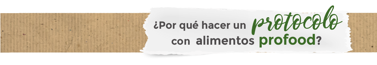 protocolos-banner2